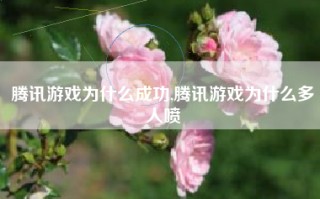 腾讯游戏为什么成功,腾讯游戏为什么多人喷
