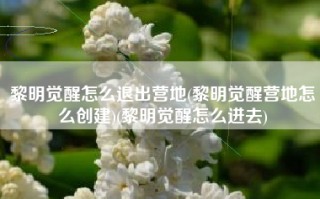 黎明觉醒怎么退出营地(黎明觉醒营地怎么创建)(黎明觉醒怎么进去)