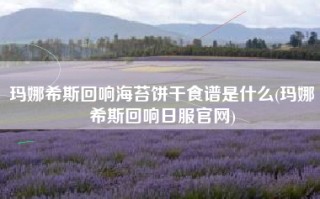 玛娜希斯回响海苔饼干食谱是什么(玛娜希斯回响日服官网)