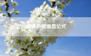 皇牌机娘爆轰公式