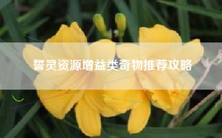 誓灵资源增益类奇物推荐攻略