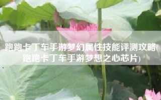 跑跑卡丁车手游梦幻属性技能评测攻略(跑跑卡丁车手游梦想之心芯片)