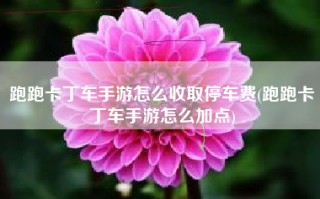 跑跑卡丁车手游怎么收取停车费(跑跑卡丁车手游怎么加点)