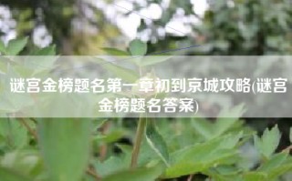 谜宫金榜题名第一章初到京城攻略(谜宫金榜题名答案)