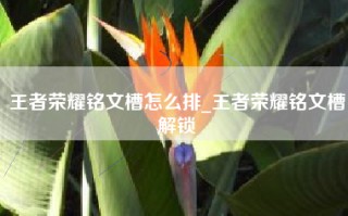 王者荣耀铭文槽怎么排_王者荣耀铭文槽解锁