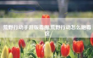 荒野行动手游版毒圈,荒野行动怎么跑毒区