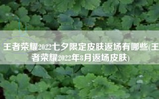 王者荣耀2022七夕限定皮肤返场有哪些(王者荣耀2022年8月返场皮肤)