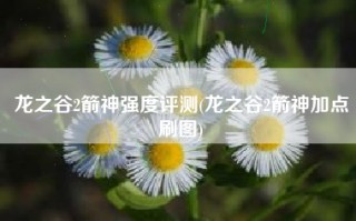 龙之谷2箭神强度评测(龙之谷2箭神加点刷图)