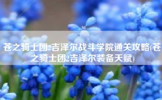 苍之骑士团2吉泽尔战斗学院通关攻略(苍之骑士团2吉泽尔装备天赋)