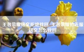 王者荣耀铭文拒绝找回_王者荣耀抢先服铭文怎么找回