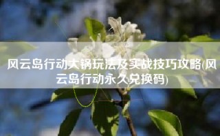 风云岛行动大锅玩法及实战技巧攻略(风云岛行动永久兑换码)