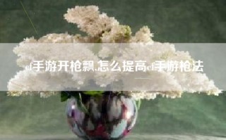 cf手游开枪飘,怎么提高cf手游枪法