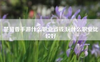 楚留香手游什么职业省钱,玩什么职业比较好