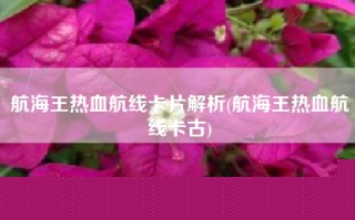 航海王热血航线卡片解析(航海王热血航线卡古)