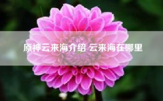原神云来海介绍 云来海在哪里