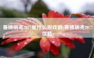 赛博朋克2077是什么游戏啊(赛博朋克2077攻略)