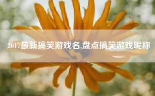 2017最新搞笑游戏名,盘点搞笑游戏昵称