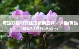 英雄联盟电竞经理辅助五选一选谁(英雄联盟电竞经理cdkey)