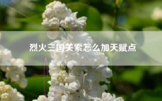 烈火三国关索怎么加天赋点