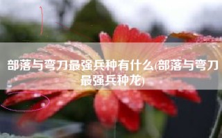 部落与弯刀最强兵种有什么(部落与弯刀最强兵种龙)