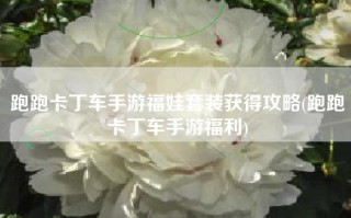 跑跑卡丁车手游福娃套装获得攻略(跑跑卡丁车手游福利)