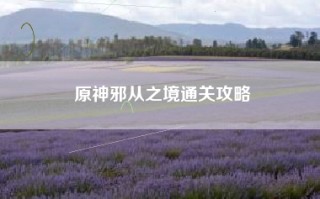 原神邪从之境通关攻略