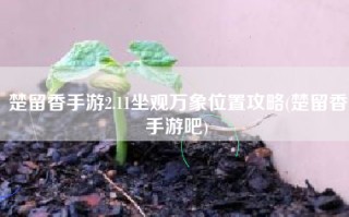 楚留香手游2.11坐观万象位置攻略(楚留香手游吧)