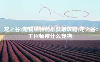 龙之谷2宠物经验药水获取攻略(龙之谷2工程师带什么宠物)