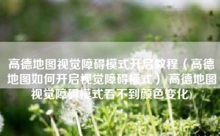 高德地图视觉障碍模式开启教程（高德地图如何开启视觉障碍模式）(高德地图视觉障碍模式看不到颜色变化)