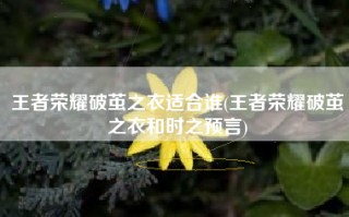 王者荣耀破茧之衣适合谁(王者荣耀破茧之衣和时之预言)
