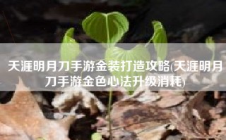 天涯明月刀手游金装打造攻略(天涯明月刀手游金色心法升级消耗)