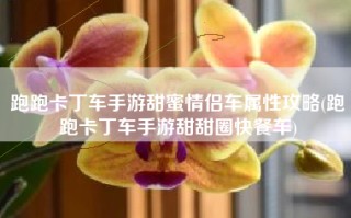 跑跑卡丁车手游甜蜜情侣车属性攻略(跑跑卡丁车手游甜甜圈快餐车)