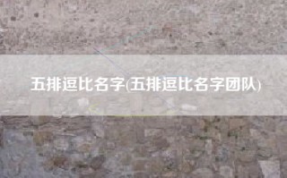 五排逗比名字(五排逗比名字团队)