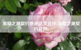 黑暗之潮契约祭祀铭文选择(黑暗之潮契约官网)