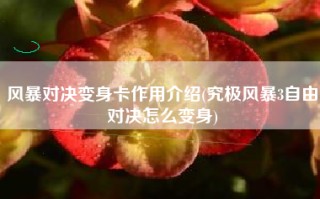 风暴对决变身卡作用介绍(究极风暴3自由对决怎么变身)