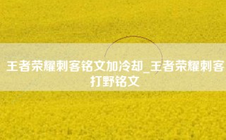 王者荣耀刺客铭文加冷却_王者荣耀刺客打野铭文