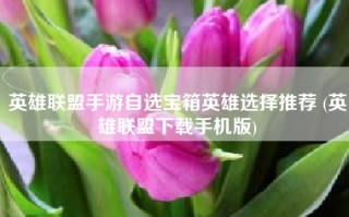英雄联盟手游自选宝箱英雄选择推荐 (英雄联盟下载手机版)