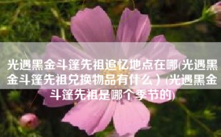 光遇黑金斗篷先祖追忆地点在哪(光遇黑金斗篷先祖兑换物品有什么）(光遇黑金斗篷先祖是哪个季节的)