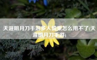 天涯明月刀手游多人骑乘怎么用不了(天涯明月刀手游)