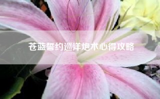 苍蓝誓约巡洋炮术心得攻略