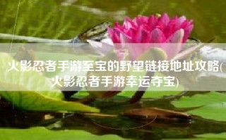 火影忍者手游至宝的野望链接地址攻略(火影忍者手游幸运夺宝)