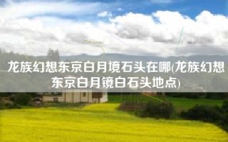 龙族幻想东京白月境石头在哪(龙族幻想东京白月镜白石头地点)