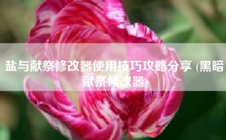 盐与献祭修改器使用技巧攻略分享 (黑暗献祭修改器)