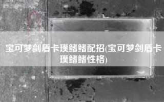宝可梦剑盾卡璞鳍鳍配招(宝可梦剑盾卡璞鳍鳍性格)