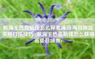 航海王热血航线怎么探索海岛,海岛探险实用打法技巧-(航海王热血航线怎么获得高级召唤券)