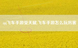 qq飞车手游受天赋,飞车手游怎么玩厉害