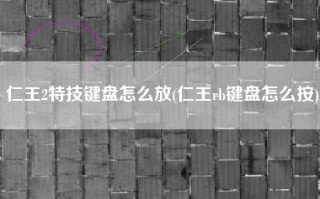 仁王2特技键盘怎么放(仁王rb键盘怎么按)