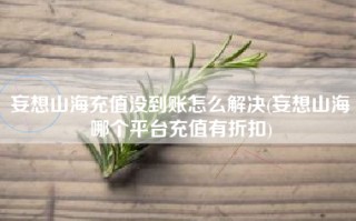 妄想山海充值没到账怎么解决(妄想山海哪个平台充值有折扣)