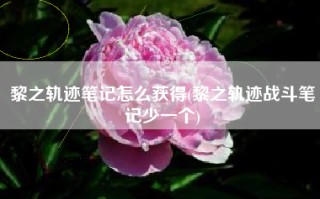 黎之轨迹笔记怎么获得(黎之轨迹战斗笔记少一个)
