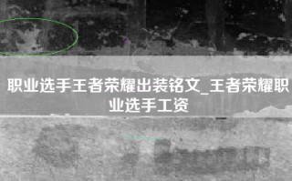 职业选手王者荣耀出装铭文_王者荣耀职业选手工资